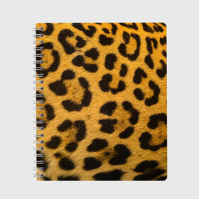 Тетрадь с принтом Леопард в Санкт-Петербурге, 100% бумага | 48 листов, плотность листов — 60 г/м2, плотность картонной обложки — 250 г/м2. Листы скреплены сбоку удобной пружинной спиралью. Уголки страниц и обложки скругленные. Цвет линий — светло-серый
 | abstract | animal | cat | leopard | texture | абстракция | гепард | животное | животные | зверь | кот | кошка | леопард | охотник | паттерн | полигоны | текстура | узор | хищник