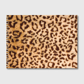 Альбом для рисования с принтом Леопард в Санкт-Петербурге, 100% бумага
 | матовая бумага, плотность 200 мг. | abstract | animal | cat | leopard | texture | абстракция | гепард | животное | животные | зверь | кот | кошка | леопард | охотник | паттерн | полигоны | текстура | узор | хищник