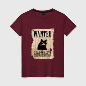 Женская футболка хлопок с принтом Кот в Санкт-Петербурге, 100% хлопок | прямой крой, круглый вырез горловины, длина до линии бедер, слегка спущенное плечо | cat | wanted | живым или мертвым | кот | кот шредингера | котэ | опасен | разыскивается | чёрный кот