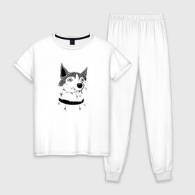 Женская пижама хлопок с принтом Курьер - Шарик в Санкт-Петербурге, 100% хлопок | брюки и футболка прямого кроя, без карманов, на брюках мягкая резинка на поясе и по низу штанин | reminor | животные | курьер | мультфильм | пес | собака | шарик
