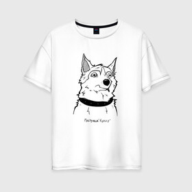 Женская футболка хлопок Oversize с принтом Курьер - Шарик 2 в Санкт-Петербурге, 100% хлопок | свободный крой, круглый ворот, спущенный рукав, длина до линии бедер
 | reminor | животные | курьер | мультфильм | пес | собака | шарик