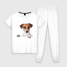 Женская пижама хлопок с принтом Собака в Санкт-Петербурге, 100% хлопок | брюки и футболка прямого кроя, без карманов, на брюках мягкая резинка на поясе и по низу штанин | джек рассел | друг | пес | питомец | собака