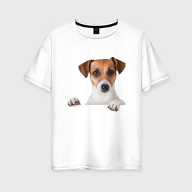Женская футболка хлопок Oversize с принтом Собака в Санкт-Петербурге, 100% хлопок | свободный крой, круглый ворот, спущенный рукав, длина до линии бедер
 | джек рассел | друг | пес | питомец | собака