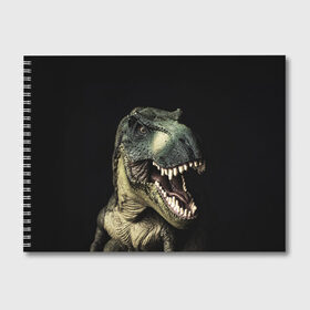 Альбом для рисования с принтом Динозавр T-Rex в Санкт-Петербурге, 100% бумага
 | матовая бумага, плотность 200 мг. | dino | dinosauria | t rex | ti rex | дино | динозавр | парк юрского | т рекс | ти рекс | чудовище | юрский период | ящер | ящерица