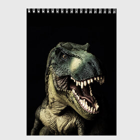 Скетчбук с принтом Динозавр T-Rex в Санкт-Петербурге, 100% бумага
 | 48 листов, плотность листов — 100 г/м2, плотность картонной обложки — 250 г/м2. Листы скреплены сверху удобной пружинной спиралью | Тематика изображения на принте: dino | dinosauria | t rex | ti rex | дино | динозавр | парк юрского | т рекс | ти рекс | чудовище | юрский период | ящер | ящерица
