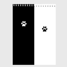 Скетчбук с принтом Кошачьи следы в Санкт-Петербурге, 100% бумага
 | 48 листов, плотность листов — 100 г/м2, плотность картонной обложки — 250 г/м2. Листы скреплены сверху удобной пружинной спиралью | Тематика изображения на принте: black and white | cat | животные | кот | кошачий след | кошка | половина | черно белый | чёрный и белый