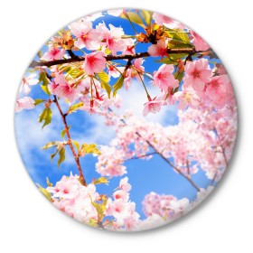 Значок с принтом Сакура в Санкт-Петербурге,  металл | круглая форма, металлическая застежка в виде булавки | Тематика изображения на принте: весна | красота | небо | отдых | отпуск | природа | сакура | солнце | тепло | цветок | цветы