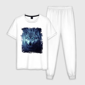 Мужская пижама хлопок с принтом Волк в Санкт-Петербурге, 100% хлопок | брюки и футболка прямого кроя, без карманов, на брюках мягкая резинка на поясе и по низу штанин
 | wolf | волк | волк в лесу | волк с голубыми глазами | лесной волк | ночной волк | синий волк | собака | темный волк