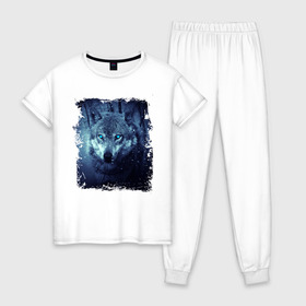 Женская пижама хлопок с принтом Волк в Санкт-Петербурге, 100% хлопок | брюки и футболка прямого кроя, без карманов, на брюках мягкая резинка на поясе и по низу штанин | wolf | волк | волк в лесу | волк с голубыми глазами | лесной волк | ночной волк | синий волк | собака | темный волк