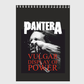 Скетчбук с принтом PANTERA VULGAR OF POWER в Санкт-Петербурге, 100% бумага
 | 48 листов, плотность листов — 100 г/м2, плотность картонной обложки — 250 г/м2. Листы скреплены сверху удобной пружинной спиралью | Тематика изображения на принте: pantera vulgar display of power | rock | вульгарный альбом | музыка | пантера | рок группа