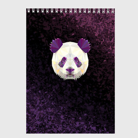 Скетчбук с принтом Панда в Санкт-Петербурге, 100% бумага
 | 48 листов, плотность листов — 100 г/м2, плотность картонной обложки — 250 г/м2. Листы скреплены сверху удобной пружинной спиралью | animal | cute panda | mood | pandas | животное | милая пандочка | настроение | панда | панды