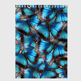 Скетчбук с принтом Небесный рой в Санкт-Петербурге, 100% бумага
 | 48 листов, плотность листов — 100 г/м2, плотность картонной обложки — 250 г/м2. Листы скреплены сверху удобной пружинной спиралью | Тематика изображения на принте: бабочка | бабочки | белый | синий | черный | яркий цвет