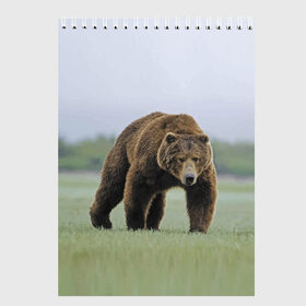 Скетчбук с принтом Россия в Санкт-Петербурге, 100% бумага
 | 48 листов, плотность листов — 100 г/м2, плотность картонной обложки — 250 г/м2. Листы скреплены сверху удобной пружинной спиралью | Тематика изображения на принте: bear | field | fur | muzzle | nature | paws | russia | лапы | медведь | поле | природа | россия