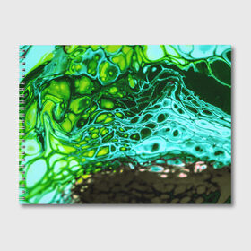 Альбом для рисования с принтом Кислотные разводы краски в Санкт-Петербурге, 100% бумага
 | матовая бумага, плотность 200 мг. | Тематика изображения на принте: doodling | pattern | textures | tiles | абстракция | бирюзовый | градиент | детали | дудлинг | зеленый | капли | кислота | кляксы | коллаж | коричневый | краска | микс | паттерны | полоски | пятна | салатный | смесь