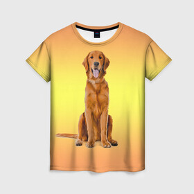 Женская футболка 3D с принтом Золотистый ретривер в Санкт-Петербурге, 100% полиэфир ( синтетическое хлопкоподобное полотно) | прямой крой, круглый вырез горловины, длина до линии бедер | домашние любимцы | животные | золотистый ретривер | собака