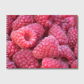 Альбом для рисования с принтом Очень много малины в Санкт-Петербурге, 100% бумага
 | матовая бумага, плотность 200 мг. | плоды | ягоды