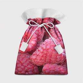 Подарочный 3D мешок с принтом Очень много малины в Санкт-Петербурге, 100% полиэстер | Размер: 29*39 см | плоды | ягоды