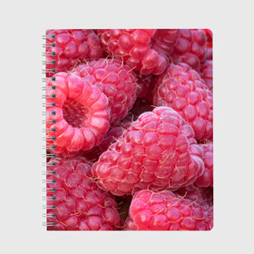 Тетрадь с принтом Очень много малины в Санкт-Петербурге, 100% бумага | 48 листов, плотность листов — 60 г/м2, плотность картонной обложки — 250 г/м2. Листы скреплены сбоку удобной пружинной спиралью. Уголки страниц и обложки скругленные. Цвет линий — светло-серый
 | плоды | ягоды