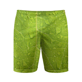 Мужские шорты спортивные с принтом Листок с росой в Санкт-Петербурге,  |  | зеленый | капли | перерода | текстура