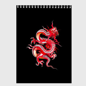 Скетчбук с принтом Дракон в Санкт-Петербурге, 100% бумага
 | 48 листов, плотность листов — 100 г/м2, плотность картонной обложки — 250 г/м2. Листы скреплены сверху удобной пружинной спиралью | арт | дракон | дракоша | животные | картинка | китайский дракон | красный дракон | рисунок | японский дракон | ящер
