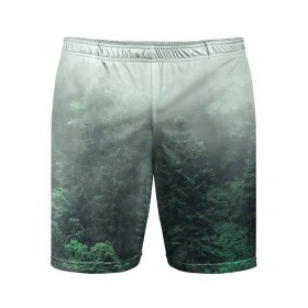 Мужские шорты спортивные с принтом Туманный лес в Санкт-Петербурге,  |  | дерево | деревья | зеленый | лес | облака | облако | снег | темный