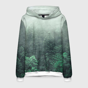 Мужская толстовка 3D с принтом Туманный лес в Санкт-Петербурге, 100% полиэстер | двухслойный капюшон со шнурком для регулировки, мягкие манжеты на рукавах и по низу толстовки, спереди карман-кенгуру с мягким внутренним слоем. | Тематика изображения на принте: дерево | деревья | зеленый | лес | облака | облако | снег | темный
