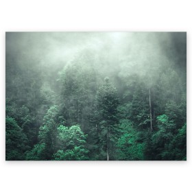 Поздравительная открытка с принтом Туманный лес в Санкт-Петербурге, 100% бумага | плотность бумаги 280 г/м2, матовая, на обратной стороне линовка и место для марки
 | дерево | деревья | зеленый | лес | облака | облако | снег | темный