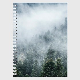 Тетрадь с принтом Туманный лес в Санкт-Петербурге, 100% бумага | 48 листов, плотность листов — 60 г/м2, плотность картонной обложки — 250 г/м2. Листы скреплены сбоку удобной пружинной спиралью. Уголки страниц и обложки скругленные. Цвет линий — светло-серый
 | Тематика изображения на принте: белый | зеленый | лес | облака | облако | природа | темный | туман