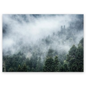 Поздравительная открытка с принтом Туманный лес в Санкт-Петербурге, 100% бумага | плотность бумаги 280 г/м2, матовая, на обратной стороне линовка и место для марки
 | белый | зеленый | лес | облака | облако | природа | темный | туман