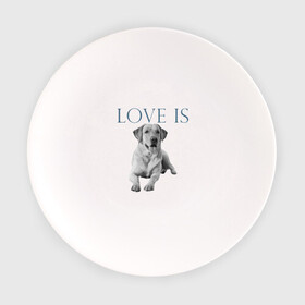 Тарелка с принтом Любовь - это лабрадор в Санкт-Петербурге, фарфор | диаметр - 210 мм
диаметр для нанесения принта - 120 мм | дрессировка | забота | лабр | лабрадор | лабрадор ретривер | любовь | собака | собаки | собачка | собачник | увлечение | хобби