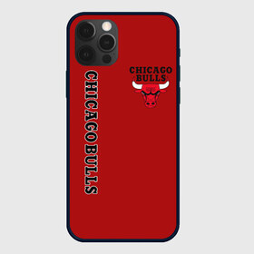 Чехол для iPhone 12 Pro Max с принтом CHICAGO BULLS в Санкт-Петербурге, Силикон |  | Тематика изображения на принте: bulls | chicago | chicago bulls | nba | red bulls | usa | америка | быки | нба | сша | чикаго буллс