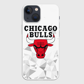 Чехол для iPhone 13 mini с принтом CHICAGO BULLS в Санкт-Петербурге,  |  | bulls | chicago | chicago bulls | nba | red bulls | usa | америка | быки | нба | сша | чикаго буллс