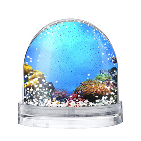 Снежный шар с принтом Подводный мир в Санкт-Петербурге, Пластик | Изображение внутри шара печатается на глянцевой фотобумаге с двух сторон | аква | аквариум | актинии | вода | море | морские | морские звезды | морской | океан | под водой | подводный мир | пузырьки | рыба | рыба клоун | рыбы