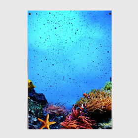 Постер с принтом Подводный мир в Санкт-Петербурге, 100% бумага
 | бумага, плотность 150 мг. Матовая, но за счет высокого коэффициента гладкости имеет небольшой блеск и дает на свету блики, но в отличии от глянцевой бумаги не покрыта лаком | Тематика изображения на принте: аква | аквариум | актинии | вода | море | морские | морские звезды | морской | океан | под водой | подводный мир | пузырьки | рыба | рыба клоун | рыбы