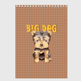 Скетчбук с принтом Большой пёс в Санкт-Петербурге, 100% бумага
 | 48 листов, плотность листов — 100 г/м2, плотность картонной обложки — 250 г/м2. Листы скреплены сверху удобной пружинной спиралью | Тематика изображения на принте: домашние животные | йоркширский терьер | собака | щенок