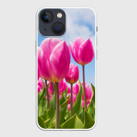 Чехол для iPhone 13 mini с принтом Розовые тюльпаны в Санкт-Петербурге,  |  | flowers | бутоны | дача | девушке | женщинам | лепестки | летний | лето | листья | любимая | любовь | небесный | небо | нежный | облака | поляна | природа | растения | романтика | сад | синеенебо | солнечный