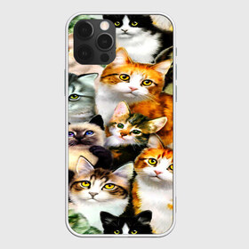 Чехол для iPhone 12 Pro Max с принтом КОТЫ в Санкт-Петербурге, Силикон |  | cat | взгляд | кот | кот хипстер | котёнок | котятки | котятушки | кошечки | кошка | мордочка