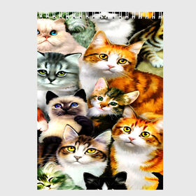 Скетчбук с принтом КОТЫ в Санкт-Петербурге, 100% бумага
 | 48 листов, плотность листов — 100 г/м2, плотность картонной обложки — 250 г/м2. Листы скреплены сверху удобной пружинной спиралью | cat | взгляд | кот | кот хипстер | котёнок | котятки | котятушки | кошечки | кошка | мордочка
