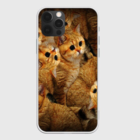 Чехол для iPhone 12 Pro Max с принтом КОТЯТУШКИ в Санкт-Петербурге, Силикон |  | cat | взгляд | кот | кот хипстер | котёнок | котятки | котятушки | кошечки | кошка | мордочка