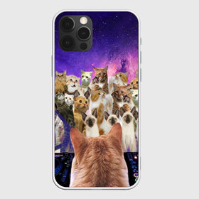 Чехол для iPhone 12 Pro Max с принтом КОТ DJ в Санкт-Петербурге, Силикон |  | cat | взгляд | кот | кот хипстер | котёнок | котятки | котятушки | кошечки | кошка | мордочка