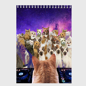 Скетчбук с принтом КОТ DJ в Санкт-Петербурге, 100% бумага
 | 48 листов, плотность листов — 100 г/м2, плотность картонной обложки — 250 г/м2. Листы скреплены сверху удобной пружинной спиралью | cat | взгляд | кот | кот хипстер | котёнок | котятки | котятушки | кошечки | кошка | мордочка