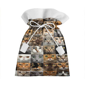 Подарочный 3D мешок с принтом КОТОПАТТЕРН в Санкт-Петербурге, 100% полиэстер | Размер: 29*39 см | Тематика изображения на принте: cat | взгляд | кот | кот хипстер | котёнок | котятки | котятушки | кошечки | кошка | мордочка