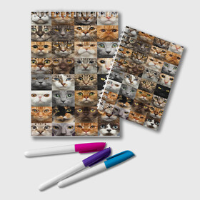 Блокнот с принтом КОТОПАТТЕРН в Санкт-Петербурге, 100% бумага | 48 листов, плотность листов — 60 г/м2, плотность картонной обложки — 250 г/м2. Листы скреплены удобной пружинной спиралью. Цвет линий — светло-серый
 | Тематика изображения на принте: cat | взгляд | кот | кот хипстер | котёнок | котятки | котятушки | кошечки | кошка | мордочка