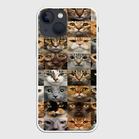 Чехол для iPhone 13 mini с принтом КОТОПАТТЕРН в Санкт-Петербурге,  |  | Тематика изображения на принте: cat | взгляд | кот | кот хипстер | котёнок | котятки | котятушки | кошечки | кошка | мордочка