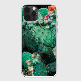 Чехол для iPhone 12 Pro Max с принтом кактусы с цветами реализм в Санкт-Петербурге, Силикон |  | Тематика изображения на принте: бутоны | иголки | кактус | кактусы | комнатные растения | лето | реализм | суккуленты | тропики | узор | цветки | цветы | экзотика