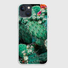 Чехол для iPhone 13 с принтом кактусы с цветами реализм в Санкт-Петербурге,  |  | бутоны | иголки | кактус | кактусы | комнатные растения | лето | реализм | суккуленты | тропики | узор | цветки | цветы | экзотика