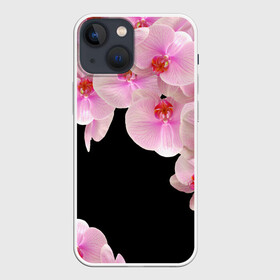 Чехол для iPhone 13 mini с принтом Орхидеи в ночи в Санкт-Петербурге,  |  | азия | бабочки | бутоны | ветки | девушкам | джунгли | женщинам | лепестки | летний | лето | листья | любовь | март | орхидеи | орхидея | подарок | природа | растения | розовыецветы | сад | тропика