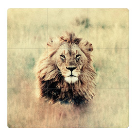 Магнитный плакат 3Х3 с принтом Lion King в Санкт-Петербурге, Полимерный материал с магнитным слоем | 9 деталей размером 9*9 см | Тематика изображения на принте: animals | king | lion | африка | взгляд | голова | грива | дикие | животные | зверек | зверь | зодиак | клыки | король | кот | кошак | кошка | лапы | лев | лео | львенок | оскал | природа | саванна | симба | созвездие