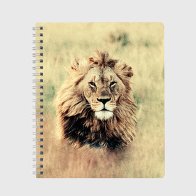 Тетрадь с принтом Lion King в Санкт-Петербурге, 100% бумага | 48 листов, плотность листов — 60 г/м2, плотность картонной обложки — 250 г/м2. Листы скреплены сбоку удобной пружинной спиралью. Уголки страниц и обложки скругленные. Цвет линий — светло-серый
 | animals | king | lion | африка | взгляд | голова | грива | дикие | животные | зверек | зверь | зодиак | клыки | король | кот | кошак | кошка | лапы | лев | лео | львенок | оскал | природа | саванна | симба | созвездие