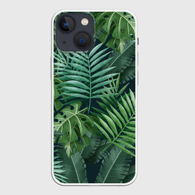 Чехол для iPhone 13 mini с принтом Тропики в Санкт-Петербурге,  |  | summer | банановая | банановые | джунгли | зелень | краски | летняя | лето | листики | листы | листья | надпись | настроение | отдых | отпуск | пальма | пальмовые | пальмы | папоротник | пляжная | позитив